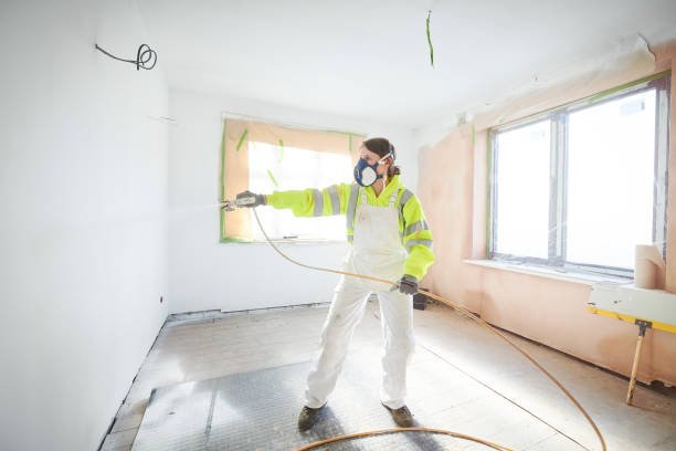 Best Mold Removal for HVAC Installations  in Holbrook, AZ