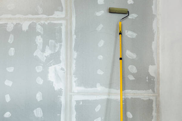 Best Crawl Space Mold Remediation  in Holbrook, AZ