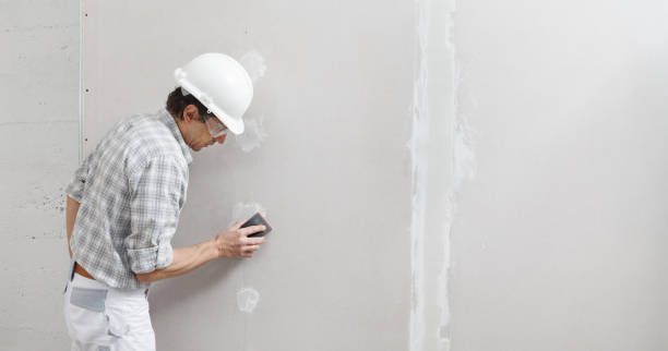 Best Biohazard Mold Removal  in Holbrook, AZ