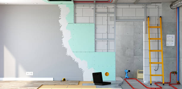 Best Post-Construction Mold Inspection  in Holbrook, AZ