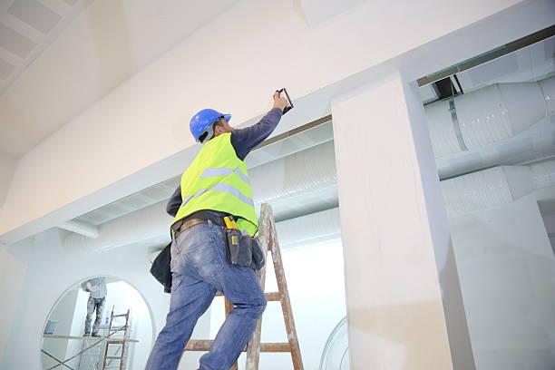 Professional Mold Removal in Holbrook, AZ