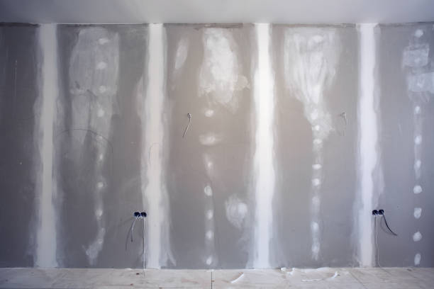 Mold Removal for HVAC Installations